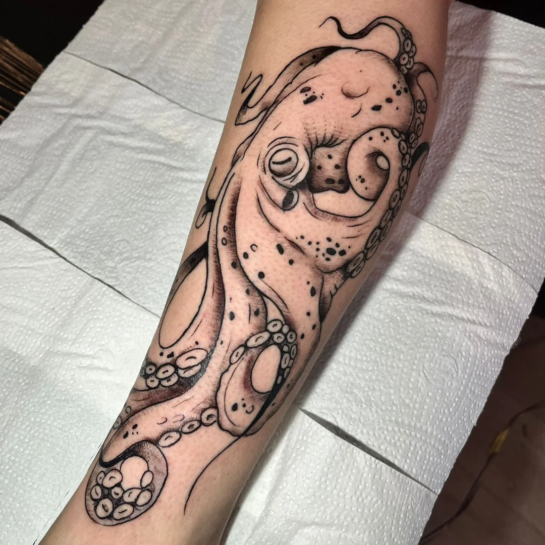 Imagem do post do portfólio